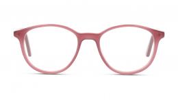 DbyD Kunststoff Panto Lila/Lila Brille online; Brillengestell; Brillenfassung; Glasses; auch als Gleitsichtbrille