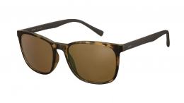Esprit 39203 545 Kunststoff Panto Havana/Havana Sonnenbrille, Sunglasses