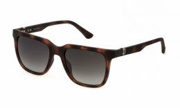 Police BEYOND LITE 6 SPLN34 0878 Kunststoff Panto Havana/Braun Sonnenbrille mit Sehstärke, verglasbar; Sunglasses; auch als Gleitsichtbrille