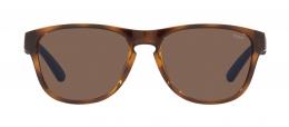 Polo Ralph Lauren 0PH4180U 500373 Kunststoff Panto Havana/Havana Sonnenbrille mit Sehstärke, verglasbar; Sunglasses; auch als Gleitsichtbrille
