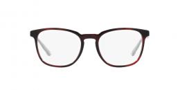 Prada 0PR 19ZV 18I1O1 Kunststoff Panto Havana/Rot Brille online; Brillengestell; Brillenfassung; Glasses; auch als Gleitsichtbrille