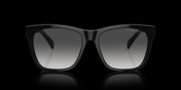 Ralph Lauren THE RICKY II 0RL8212 50018G Kunststoff Panto Schwarz/Schwarz Sonnenbrille mit Sehstärke, verglasbar; Sunglasses; auch als Gleitsichtbrille