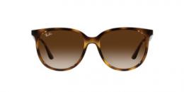 Ray-Ban 0RB4378 710/13 Kunststoff Panto Havana/Havana Sonnenbrille mit Sehstärke, verglasbar; Sunglasses; auch als Gleitsichtbrille
