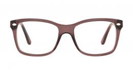 Ray-Ban OPTICS 0RX5228 5628 Kunststoff Panto Rot/Braun Brille online; Brillengestell; Brillenfassung; Glasses; auch als Gleitsichtbrille
