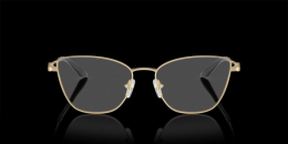 Armani Exchange 0AX1063 6110 Metall Schmetterling / Cat-Eye Goldfarben/Goldfarben Brille online; Brillengestell; Brillenfassung; Glasses; auch als Gleitsichtbrille