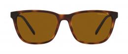 Arnette CORTEX 0AN4291 277083 polarisiert Kunststoff Panto Havana/Havana Sonnenbrille mit Sehstärke, verglasbar; Sunglasses; auch als Gleitsichtbrille