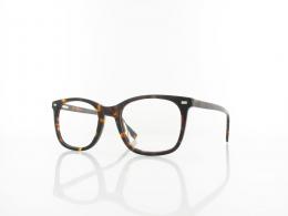 Brilando AC370 A 54 turtle