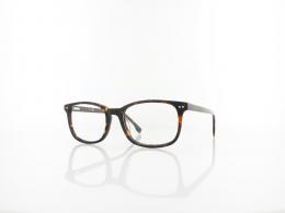 Brilando AC371 A 53 turtle