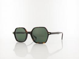 Brilando AC378 B-SG 52 turtle / green polarized