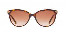 Burberry Squared Check Block 0BE4216 300213 Kunststoff Schmetterling / Cat-Eye Havana/Havana Sonnenbrille mit Sehstärke, verglasbar; Sunglasses; auch als Gleitsichtbrille