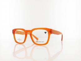 Calvin Klein CKJ25610 201 51 brown to havana
