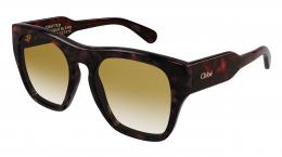 Chloe CH0149S 002 Kunststoff Panto Havana/Havana Sonnenbrille mit Sehstärke, verglasbar; Sunglasses; auch als Gleitsichtbrille