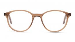 DbyD Kunststoff Panto Braun/Braun Brille online; Brillengestell; Brillenfassung; Glasses; auch als Gleitsichtbrille