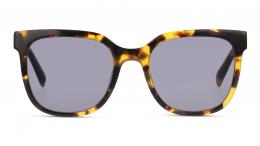 DbyD Kunststoff Panto Havana/Havana Sonnenbrille mit Sehstärke, verglasbar; Sunglasses; auch als Gleitsichtbrille; Black Friday