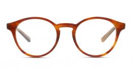 DbyD Kunststoff Panto Havana/Orange Brille online; Brillengestell; Brillenfassung; Glasses; auch als Gleitsichtbrille; Black Friday