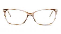 DbyD Kunststoff Rechteckig Braun/Braun Brille online; Brillengestell; Brillenfassung; Glasses; auch als Gleitsichtbrille
