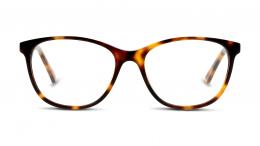 DbyD Kunststoff Schmal Havana/Havana Brille online; Brillengestell; Brillenfassung; Glasses; auch als Gleitsichtbrille