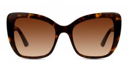 Dolce&Gabbana Print Family 0DG4348 502/13 Kunststoff Schmetterling / Cat-Eye Havana/Havana Sonnenbrille, Sunglasses