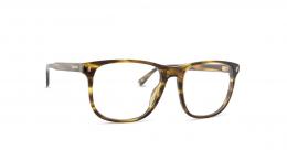 DSQUARED2 D2 0079 HR3 18 54