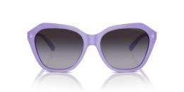 Emporio Armani 0EA4221 61178G Kunststoff Irregular Lila/Lila Sonnenbrille, Sunglasses