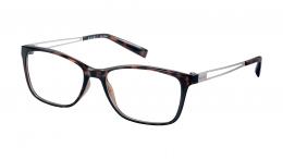 Esprit 17562 545 Kunststoff Panto Havana/Havana Brille online; Brillengestell; Brillenfassung; Glasses; auch als Gleitsichtbrille