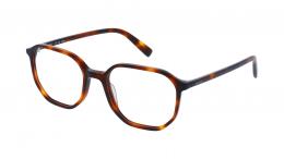 Esprit ET33473 545 Kunststoff Panto Havana/Havana Brille online; Brillengestell; Brillenfassung; Glasses; auch als Gleitsichtbrille