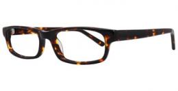 Glasses Direct Brazen 5216 Tortoise