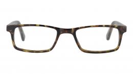 GV Library Kunststoff Rechteckig Havana/Havana Brille online; Brillengestell; Brillenfassung; Glasses; auch als Gleitsichtbrille