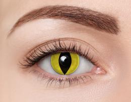 Halloween Kontaktlinsen Yellow Cat Monatslinsen Sphärisch 2 Stück Kontaktlinsen; contact lenses; Kontaktlinsen