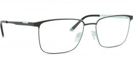 Jaguar 33638 4200 17 54