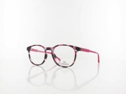 Lacoste L3632 219 47 havana pink