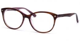 Lennox Eyewear Caja 5116 brown/purple/light brown