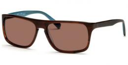 Lennox Eyewear Sayoda 5816 demi-braun/türkis