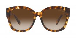 Michael Kors BAJA 0MK2164 302813 Kunststoff Panto Havana/Havana Sonnenbrille mit Sehstärke, verglasbar; Sunglasses; auch als Gleitsichtbrille