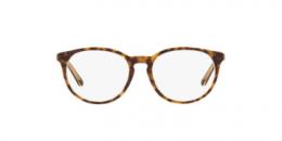 PoloPrep 0PP8544U 5225 Kunststoff Panto Havana/Transparent Brille online; Brillengestell; Brillenfassung; Glasses