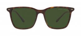 Ralph Lauren 0RL8199 500371 Kunststoff Panto Havana/Havana Sonnenbrille mit Sehstärke, verglasbar; Sunglasses; auch als Gleitsichtbrille