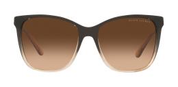 Ralph Lauren 0RL8201 602274 Kunststoff Panto Braun/Transparent Sonnenbrille mit Sehstärke, verglasbar; Sunglasses; auch als Gleitsichtbrille