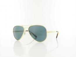 Ray Ban AVIATOR MAX RB3925 001/R5 58 arista / blue