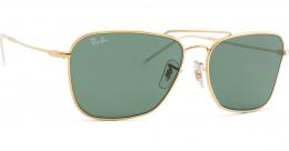 Ray-Ban Caravan Reverse RBR0102 001/VR 58