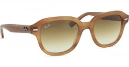 Ray-Ban Erik RB4398 140351 51