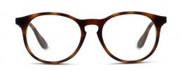 Ray-Ban OPTICS KIDS 0RY1554 3616 Kunststoff Panto Braun/Braun Brille online; Brillengestell; Brillenfassung; Glasses