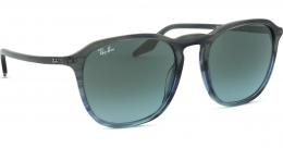 Ray-Ban RB2203 1391GK