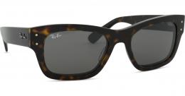 Ray-Ban RB7683S 902/B1 55