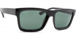 Ray-Ban Warren RB4396 667771
