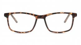 Seen Kunststoff Rechteckig Havana/Havana Brille online; Brillengestell; Brillenfassung; Glasses
