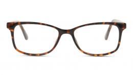 Seen Kunststoff Rechteckig Havana/Havana Brille online; Brillengestell; Brillenfassung; Glasses; auch als Gleitsichtbrille