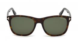 Tom Ford FT0595 52N Kunststoff Panto Havana/Havana Sonnenbrille, Sunglasses
