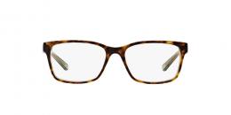 Tory Burch 0TY2064 1561 Kunststoff Panto Havana/Havana Brille online; Brillengestell; Brillenfassung; Glasses; auch als Gleitsichtbrille