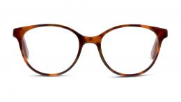 twiins Rockstar Kunststoff Panto Havana/Havana Brille online; Brillengestell; Brillenfassung; Glasses; auch als Gleitsichtbrille