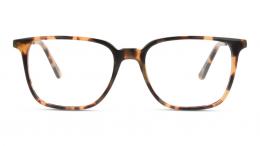 UNOFFICIAL Kunststoff Panto Havana/Beige Brille online; Brillengestell; Brillenfassung; Glasses; auch als Gleitsichtbrille